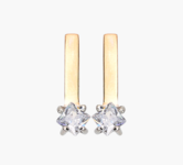 Earrings With zircon 17208220